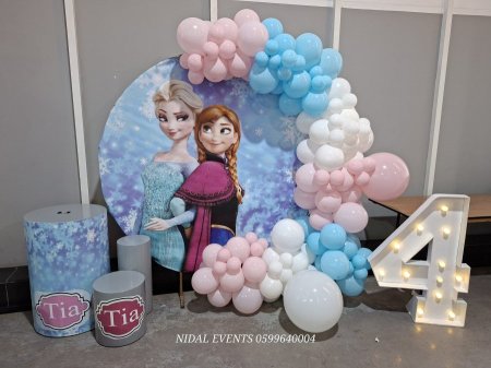 ثيم Frozen