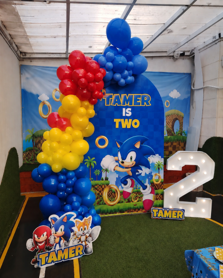 ثيم سونيك Sonic